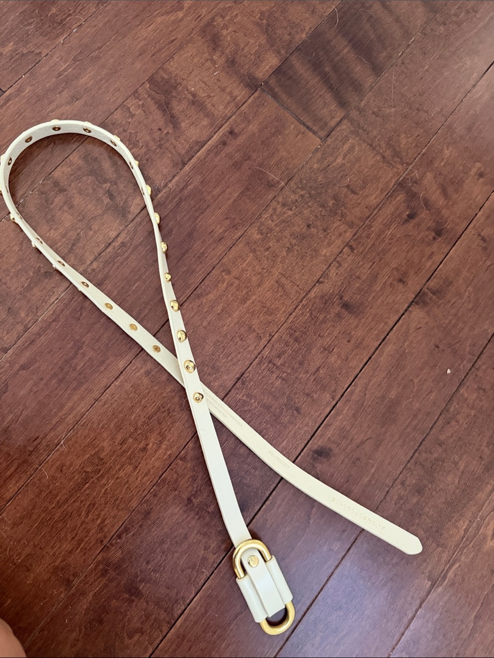 Anthropologie Cream Leather Stud Belt with Gold Hardware